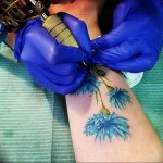 photo tattoo cornflower 03.03.2019 №107 - idea for a tattoo with cornflower - tattoovalue.net