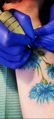 photo tattoo cornflower 03.03.2019 №107 – idea for a tattoo with cornflower – tattoovalue.net