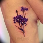 photo tattoo cornflower 03.03.2019 №119 - idea for a tattoo with cornflower - tattoovalue.net
