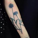 photo tattoo cornflower 03.03.2019 №120 - idea for a tattoo with cornflower - tattoovalue.net