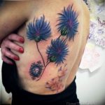 photo tattoo cornflower 03.03.2019 №130 - idea for a tattoo with cornflower - tattoovalue.net