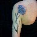 photo tattoo cornflower 03.03.2019 №131 - idea for a tattoo with cornflower - tattoovalue.net