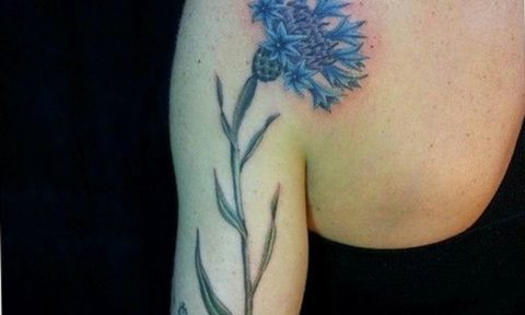 photo tattoo cornflower 03.03.2019 №131 - idea for a tattoo with cornflower - tattoovalue.net