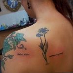 photo tattoo cornflower 03.03.2019 №133 - idea for a tattoo with cornflower - tattoovalue.net