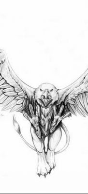 Griffin tattoo meaning: drawing history, photo examples, sketches, facts