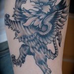 photo tattoo griffin 04.03.2019 №099 - idea for drawing a tattoo with a griffin - tattoovalue.net