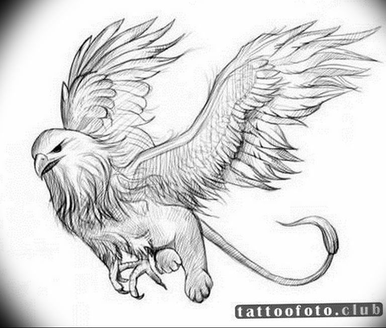 photo tattoo griffin 04.03.2019 №121 - idea for drawing a tattoo with a ...