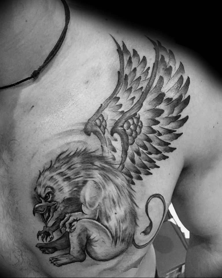 photo tattoo griffin 04.03.2019 №003 - idea for drawing a tattoo with a griffin - tattoovalue.net