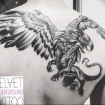 photo tattoo griffin 04.03.2019 №004 - idea for drawing a tattoo with a griffin - tattoovalue.net