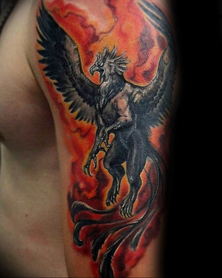 photo tattoo griffin 04.03.2019 №008 - idea for drawing a tattoo with a griffin - tattoovalue.net