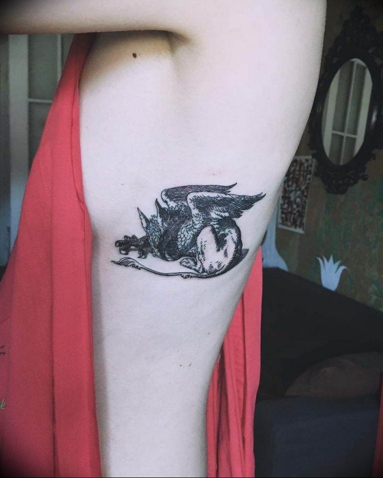 photo tattoo griffin 04.03.2019 №011 - idea for drawing a tattoo with a griffin - tattoovalue.net