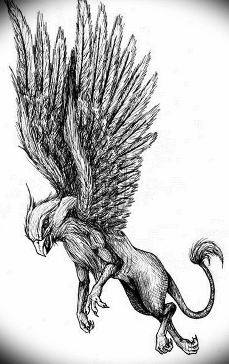 photo tattoo griffin 04.03.2019 №013 - idea for drawing a tattoo with a griffin - tattoovalue.net