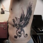 photo tattoo griffin 04.03.2019 №015 - idea for drawing a tattoo with a griffin - tattoovalue.net