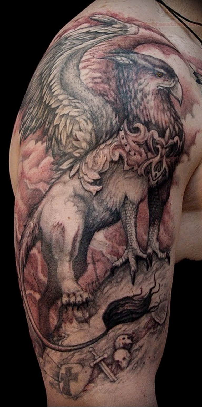 photo tattoo griffin 04.03.2019 №018 - idea for drawing a tattoo with a griffin - tattoovalue.net