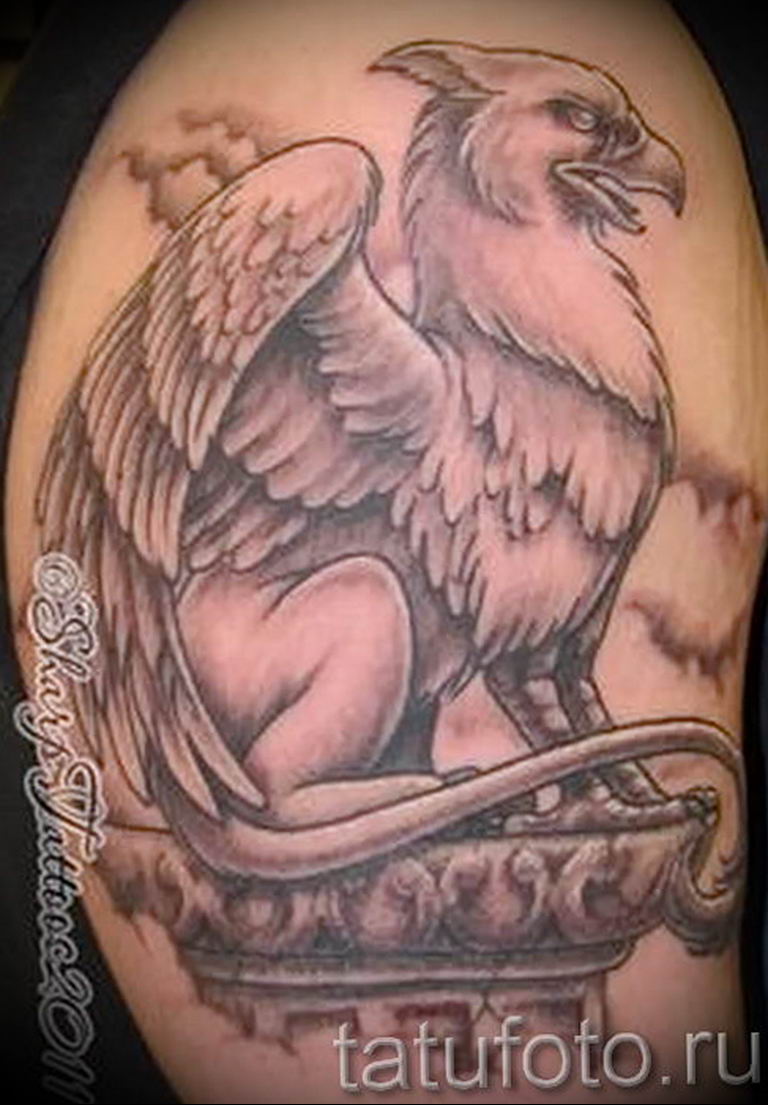 photo tattoo griffin 04.03.2019 №021 - idea for drawing a tattoo with a griffin - tattoovalue.net