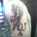 photo tattoo griffin 04.03.2019 №023 - idea for drawing a tattoo with a griffin - tattoovalue.net