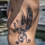 photo tattoo griffin 04.03.2019 №024 - idea for drawing a tattoo with a griffin - tattoovalue.net