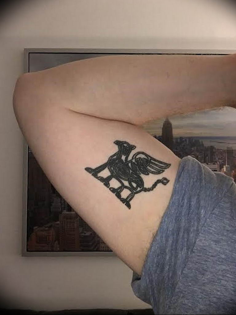 photo tattoo griffin 04.03.2019 №025 - idea for drawing a tattoo with a griffin - tattoovalue.net
