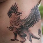 photo tattoo griffin 04.03.2019 №030 - idea for drawing a tattoo with a griffin - tattoovalue.net