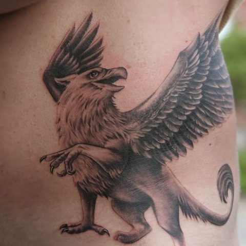 Griffin Tattoo Meaning Drawing History Photo Examples Sketches Facts Griffin Tattoo Meaning Drawing History Photo Examples Sketches Facts
