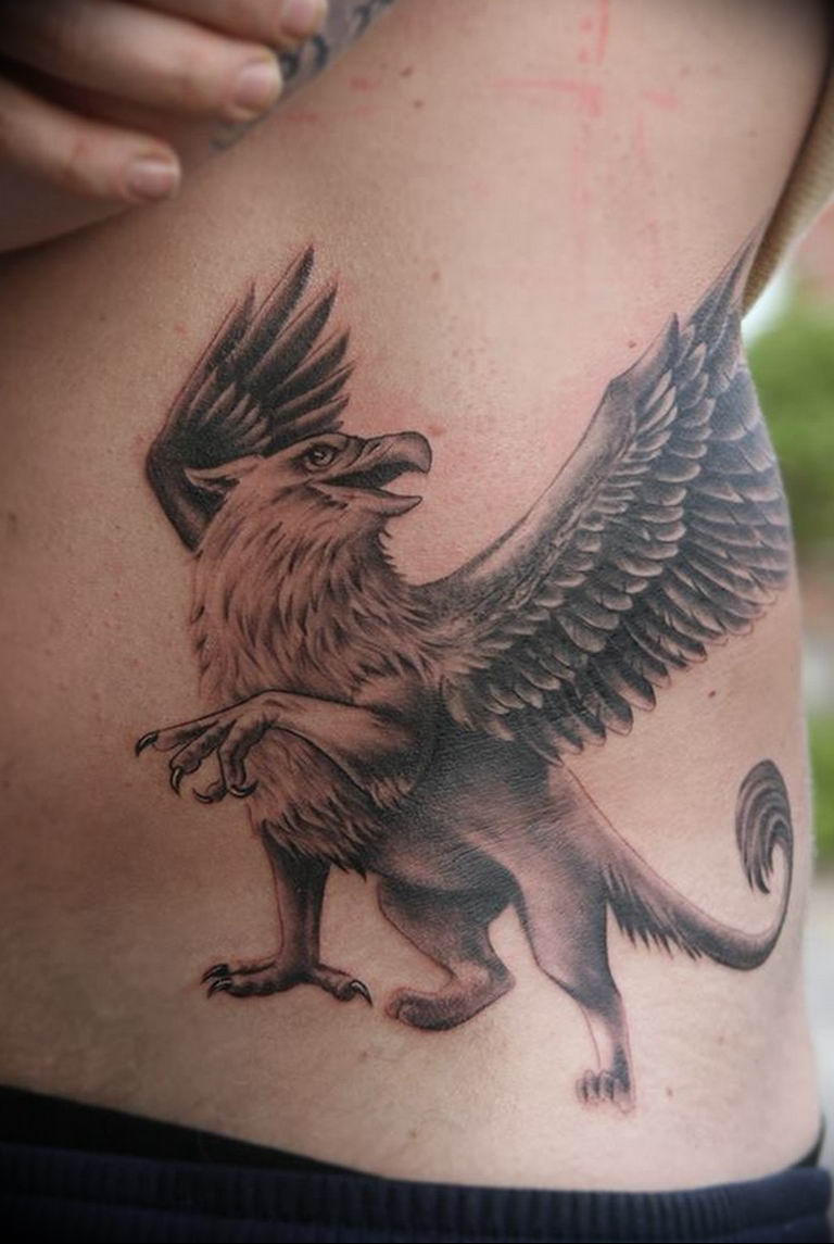 photo tattoo griffin 04.03.2019 №030 - idea for drawing a tattoo with a griffin - tattoovalue.net