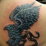 photo tattoo griffin 04.03.2019 №032 - idea for drawing a tattoo with a griffin - tattoovalue.net