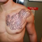 photo tattoo griffin 04.03.2019 №033 - idea for drawing a tattoo with a griffin - tattoovalue.net