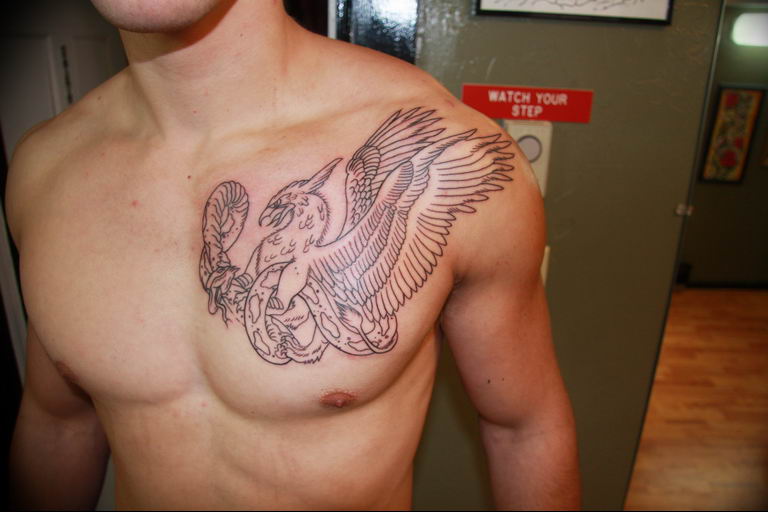 photo tattoo griffin 04.03.2019 №033 - idea for drawing a tattoo with a griffin - tattoovalue.net