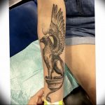 photo tattoo griffin 04.03.2019 №034 - idea for drawing a tattoo with a griffin - tattoovalue.net