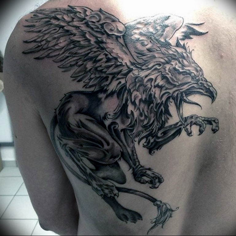 photo tattoo griffin 04.03.2019 №037 - idea for drawing a tattoo with a griffin - tattoovalue.net