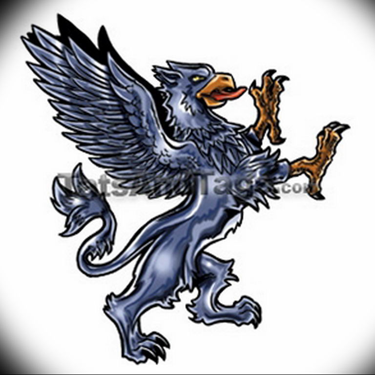 photo tattoo griffin 04.03.2019 №039 - idea for drawing a tattoo with a griffin - tattoovalue.net