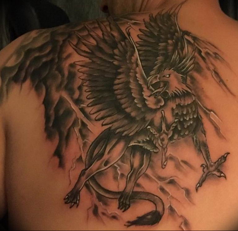 photo tattoo griffin 04.03.2019 №040 - idea for drawing a tattoo with a griffin - tattoovalue.net