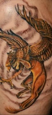 photo tattoo griffin 04.03.2019 №041 – idea for drawing a tattoo with a griffin – tattoovalue.net
