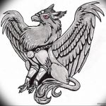 photo tattoo griffin 04.03.2019 №042 - idea for drawing a tattoo with a griffin - tattoovalue.net