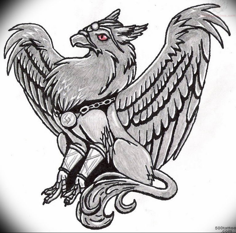 photo tattoo griffin 04.03.2019 №042 - idea for drawing a tattoo with a griffin - tattoovalue.net