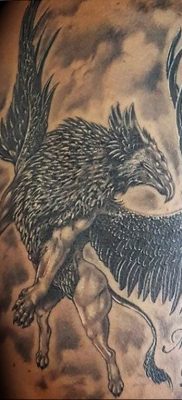photo tattoo griffin 04.03.2019 №043 – idea for drawing a tattoo with a griffin – tattoovalue.net