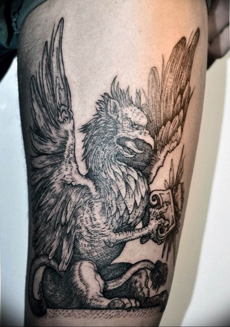 photo tattoo griffin 04.03.2019 №044 - idea for drawing a tattoo with a griffin - tattoovalue.net