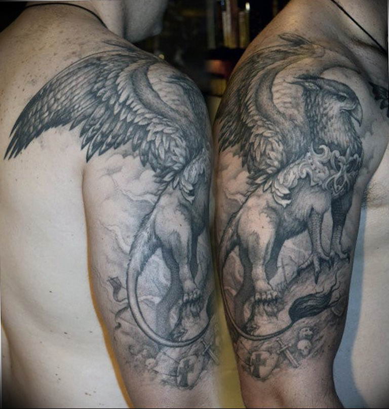 photo tattoo griffin 04.03.2019 №046 - idea for drawing a tattoo with a griffin - tattoovalue.net