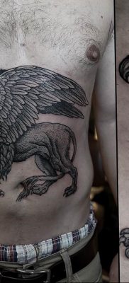 photo tattoo griffin 04.03.2019 №051 – idea for drawing a tattoo with a griffin – tattoovalue.net