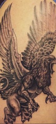 photo tattoo griffin 04.03.2019 №057 – idea for drawing a tattoo with a griffin – tattoovalue.net