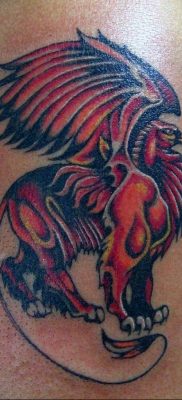 photo tattoo griffin 04.03.2019 №058 – idea for drawing a tattoo with a griffin – tattoovalue.net