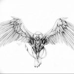 photo tattoo griffin 04.03.2019 №059 - idea for drawing a tattoo with a griffin - tattoovalue.net
