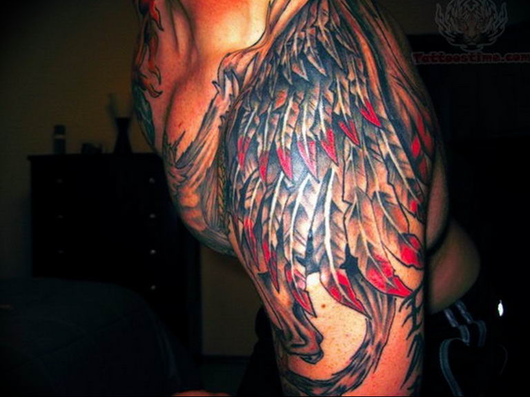 photo tattoo griffin 04.03.2019 №060 - idea for drawing a tattoo with a griffin - tattoovalue.net