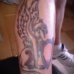 photo tattoo griffin 04.03.2019 №061 - idea for drawing a tattoo with a griffin - tattoovalue.net