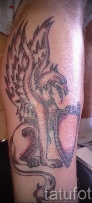 photo tattoo griffin 04.03.2019 №061 – idea for drawing a tattoo with a griffin – tattoovalue.net