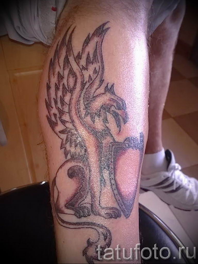 photo tattoo griffin 04.03.2019 №061 - idea for drawing a tattoo with a griffin - tattoovalue.net