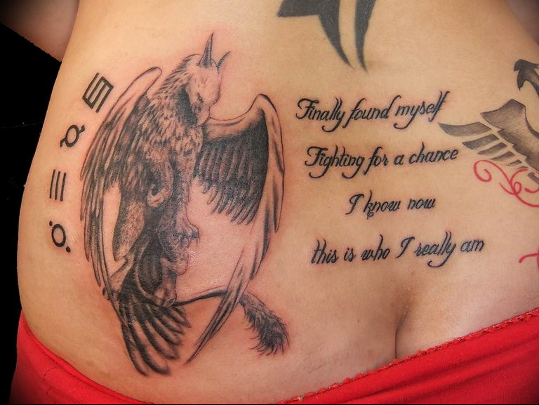 photo tattoo griffin 04.03.2019 №063 - idea for drawing a tattoo with a griffin - tattoovalue.net