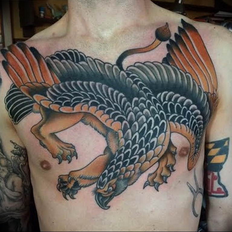 photo tattoo griffin 04.03.2019 №067 - idea for drawing a tattoo with a griffin - tattoovalue.net