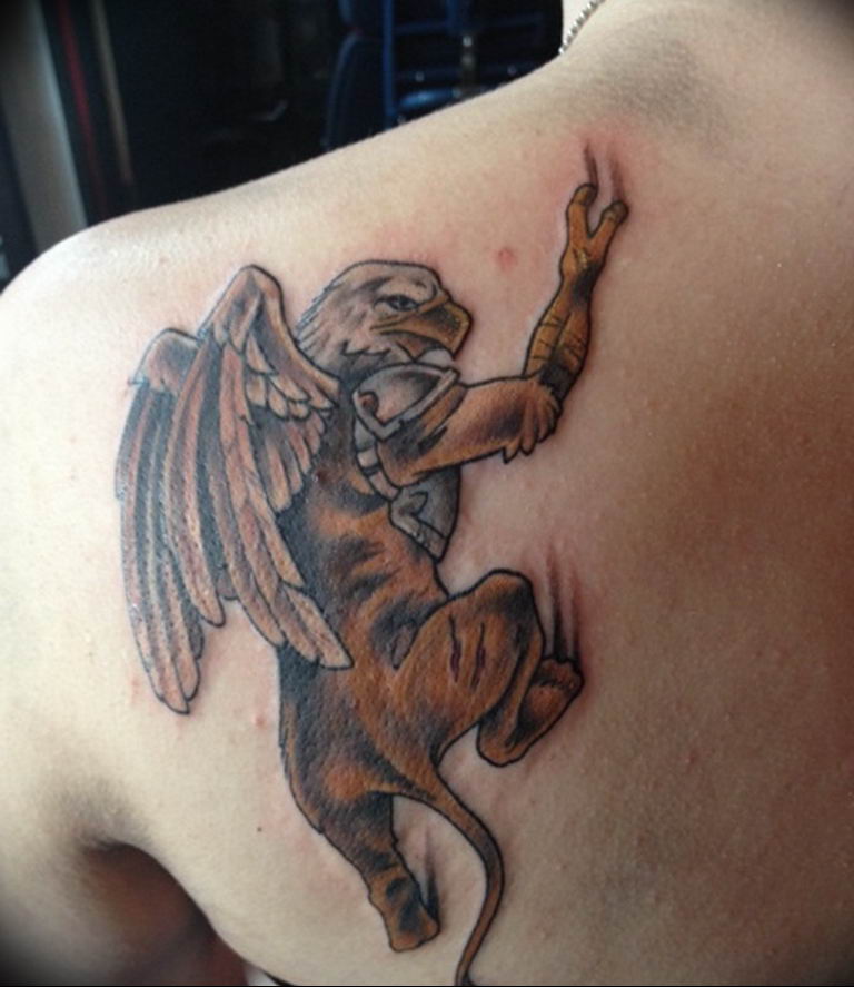 photo tattoo griffin 04.03.2019 №069 - idea for drawing a tattoo with a griffin - tattoovalue.net
