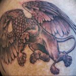 photo tattoo griffin 04.03.2019 №070 - idea for drawing a tattoo with a griffin - tattoovalue.net
